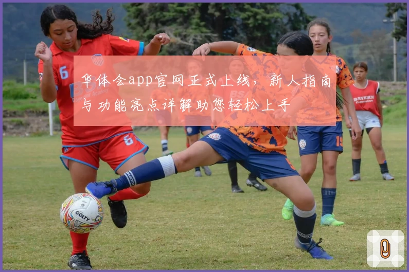 华体会app官网正式上线，新人指南与功能亮点详解助您轻松上手