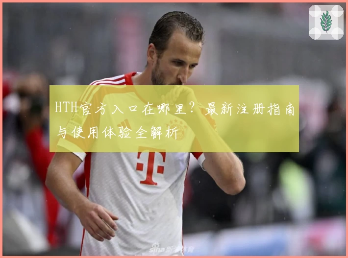 HTH官方入口在哪里?最新注册指南与使用体验全解析